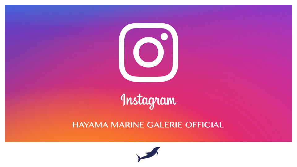 INSTAGRAM / HAYAMA MARINE GALERIE OFFICIAL